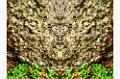 bloc de pierre.photomontage